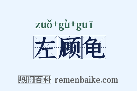左顾龟是什么意思的图片